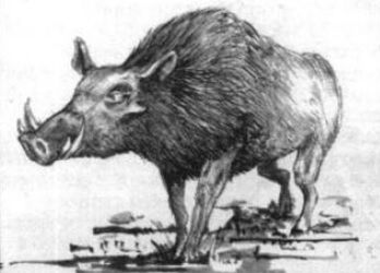 Jabali.jpg