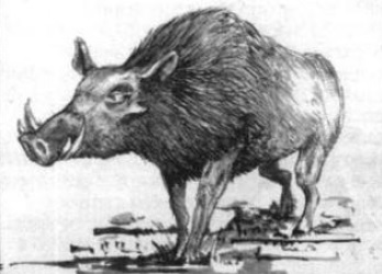 Jabali