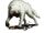 Lobos Blancos