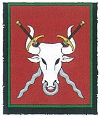 Estandarte wolfenburg