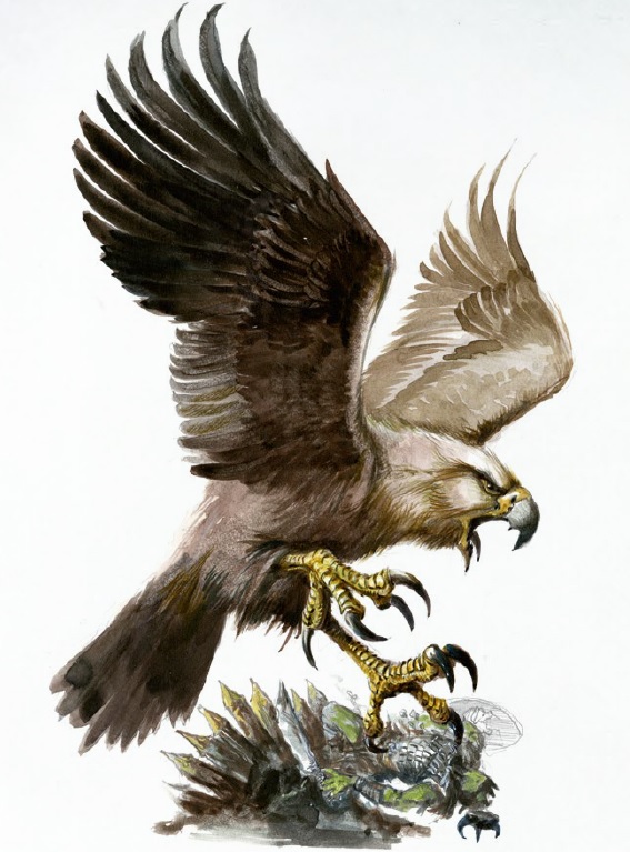 Águilas Gigantes | Wiki La Biblioteca del Viejo Mundo | Fandom