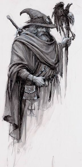 Hechicero de batalla Imperio Gris por Karl Kopinski