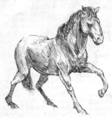 Caballo