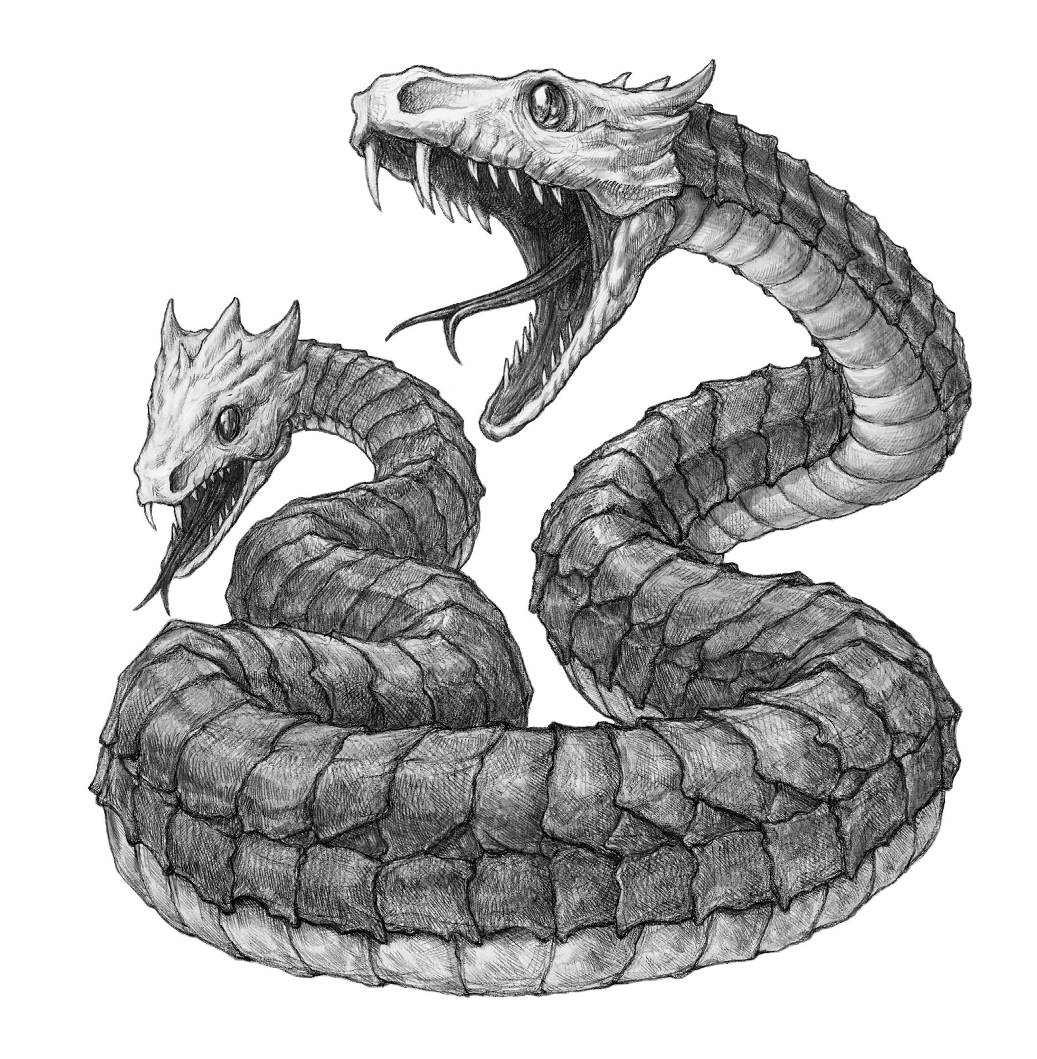 dibujos de cabezas de veneno