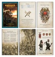 Edicion digital 2 arcane journal orc & goblin tribes.jpg (299 kB)