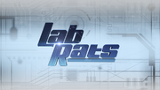 Lab