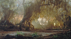 The Enchanted Forest.png
