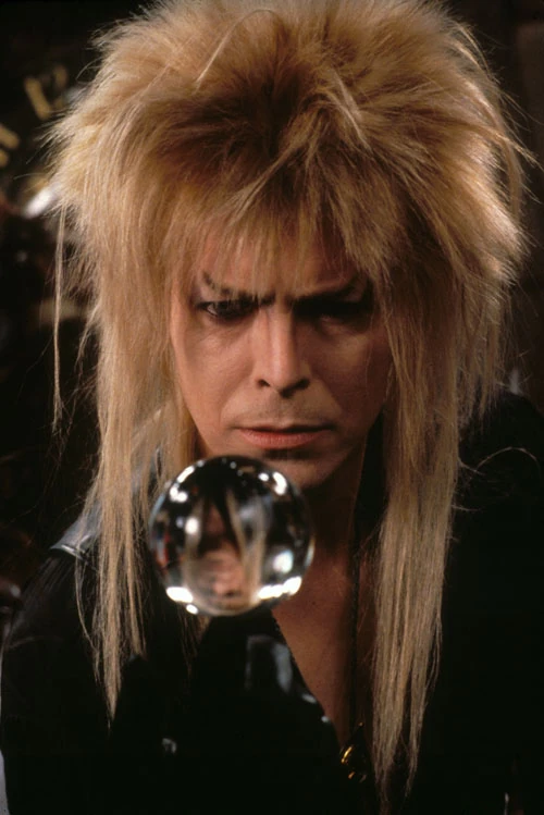 Jareth the Goblin King Labyrinth Wiki Fandom