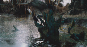 Tree stumps in the bog.png