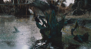 Tree stumps in the bog