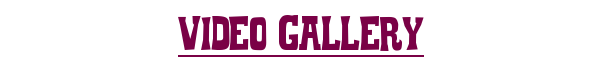 Vidgal.png