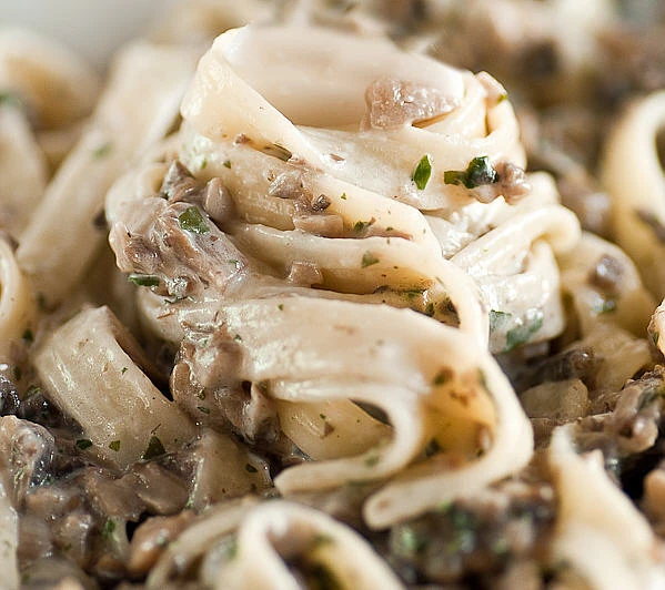Pasta With Creamy Mushroom Sauce Dairy Free Recipes Wiki Fandom