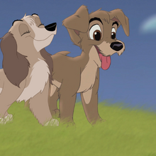Lady And The Tramp Fanon Wikia Fandom See more of lady and the tramp on facebook. lady and the tramp fanon wikia fandom