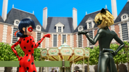 Miraculer 252