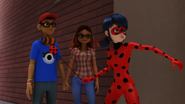 Miraculer 051