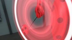 Click here to view the image gallery for Yo-yo.