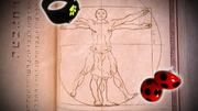 OR1-(16).png