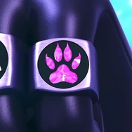 The Miraculous when it was turned into a ring.