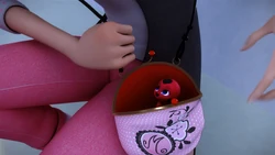 Click here to view the image gallery for Marinette's purse.
