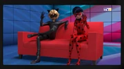 The interview with Ladybug and Cat Noir starts.