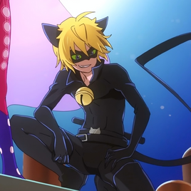 Cat Noir