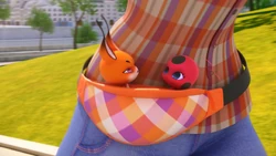 Click here to view the image gallery for Alya's fanny pack.