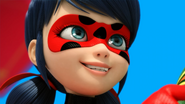 Miraculer 516