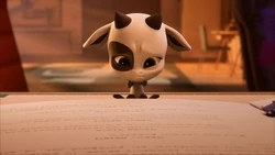 Click here to view the image gallery for Ziggy.