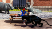 AM-(180).png