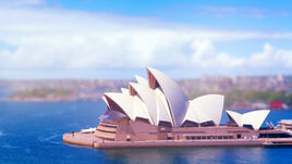 Sydney - Conformation