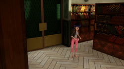 Click here to view the image gallery for Library.