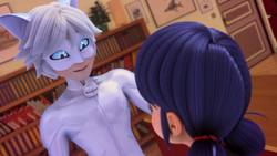 Adrien Agreste/Gallery/Miscellaneous, Miraculous Ladybug Wiki, Fandom