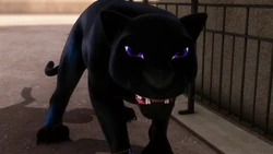Animan as a Black panther.