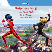 Miraculous Ladybug & Cat Noir Turkish Poster