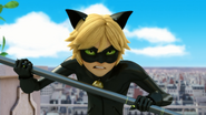 Miraculer 342