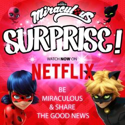 Click here to view the image gallery for Miraculous: Tales of Ladybug & Cat Noir.