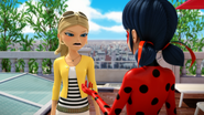 Miraculer 536