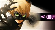 Cat Noir, Bonus Game.