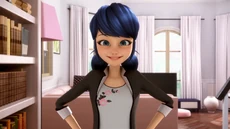 Marinette's civilian attire from Seasons 1 to 5.