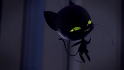 Click here to view the image gallery for Plagg.