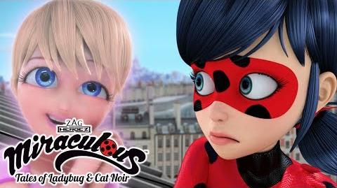 Miraculous Ladybug 🐞 Season 1 Favourites 🐞 Ladybug and Cat Noir Animation