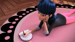 Click here to view the image gallery for Marinette's diary.
