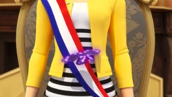 Click here to view the image gallery for Sash of the Mayor of Paris.