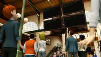 Animaestro 467