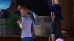Click here to view the image gallery for Adrien's umbrella.