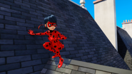 Miraculer 171