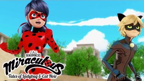 Miraculous Ladybug 🐞 Miraculous Adventures Compilation 🐞 Ladybug and Cat Noir Animation