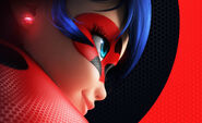 Ladybug close up shot concept