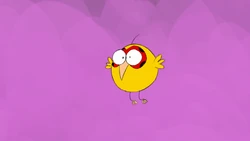 Animaestro as a bird