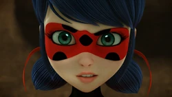 Click here to view the image gallery for Ladybug (sentimonster).
